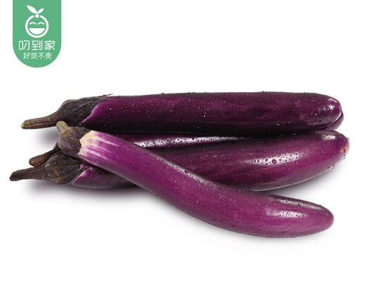 【叼鲜蔬】有艺田新鲜茄子/1份（约350g） 商品图1