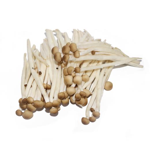 小茶菇 商品图0