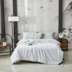 双宫蚕丝被被子被芯蚕丝被双人被 ，蚕丝被