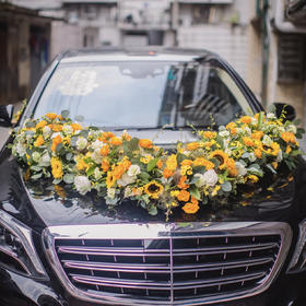 超暖色系大气V型婚车