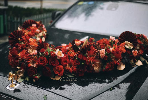 中国红v型花车 商品图2