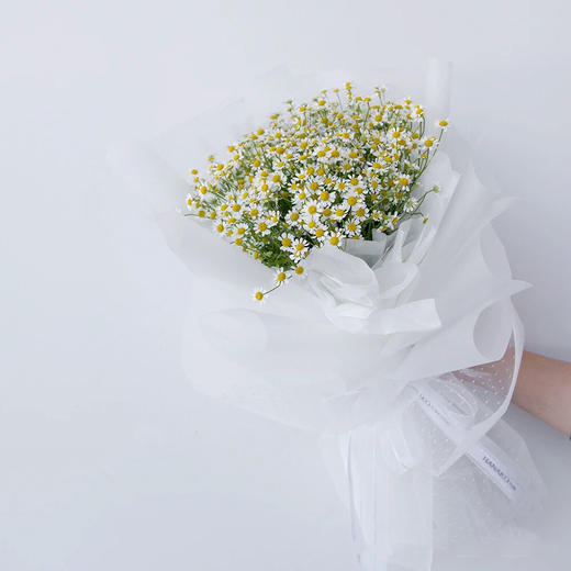 洋甘菊30支包装花束