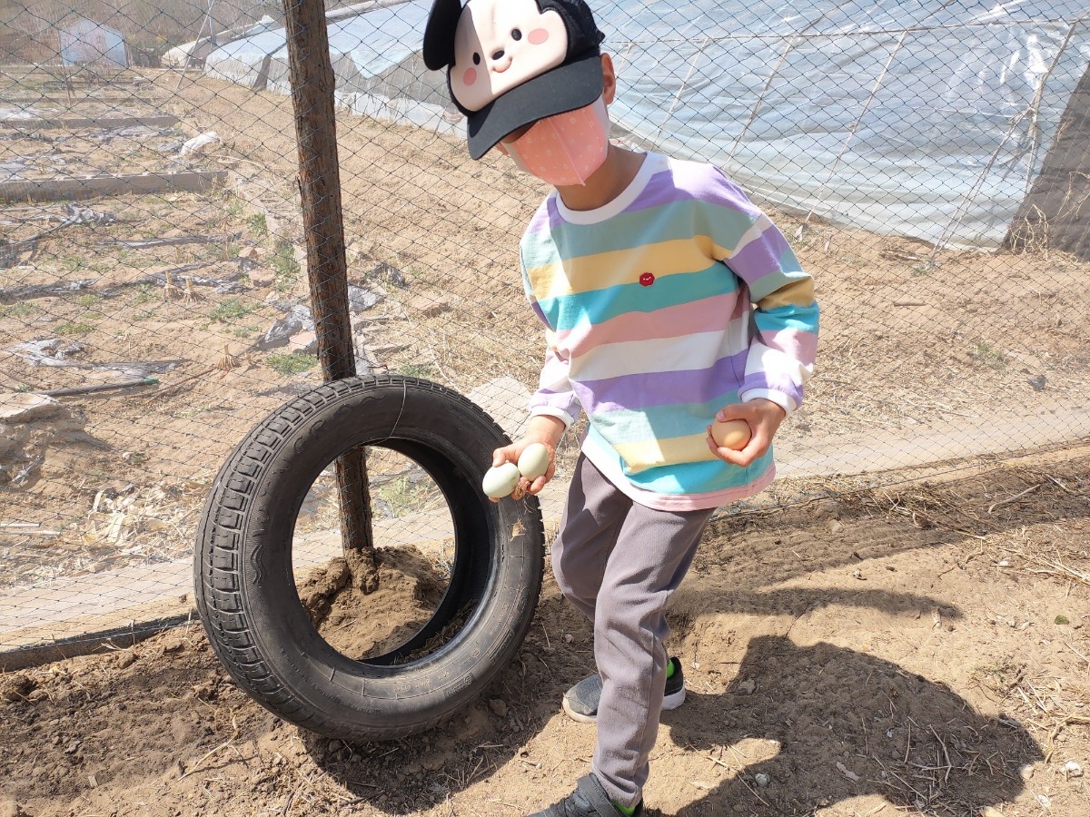 微信图片_20200414231514.jpg 微信图片_20200414231514.jpg