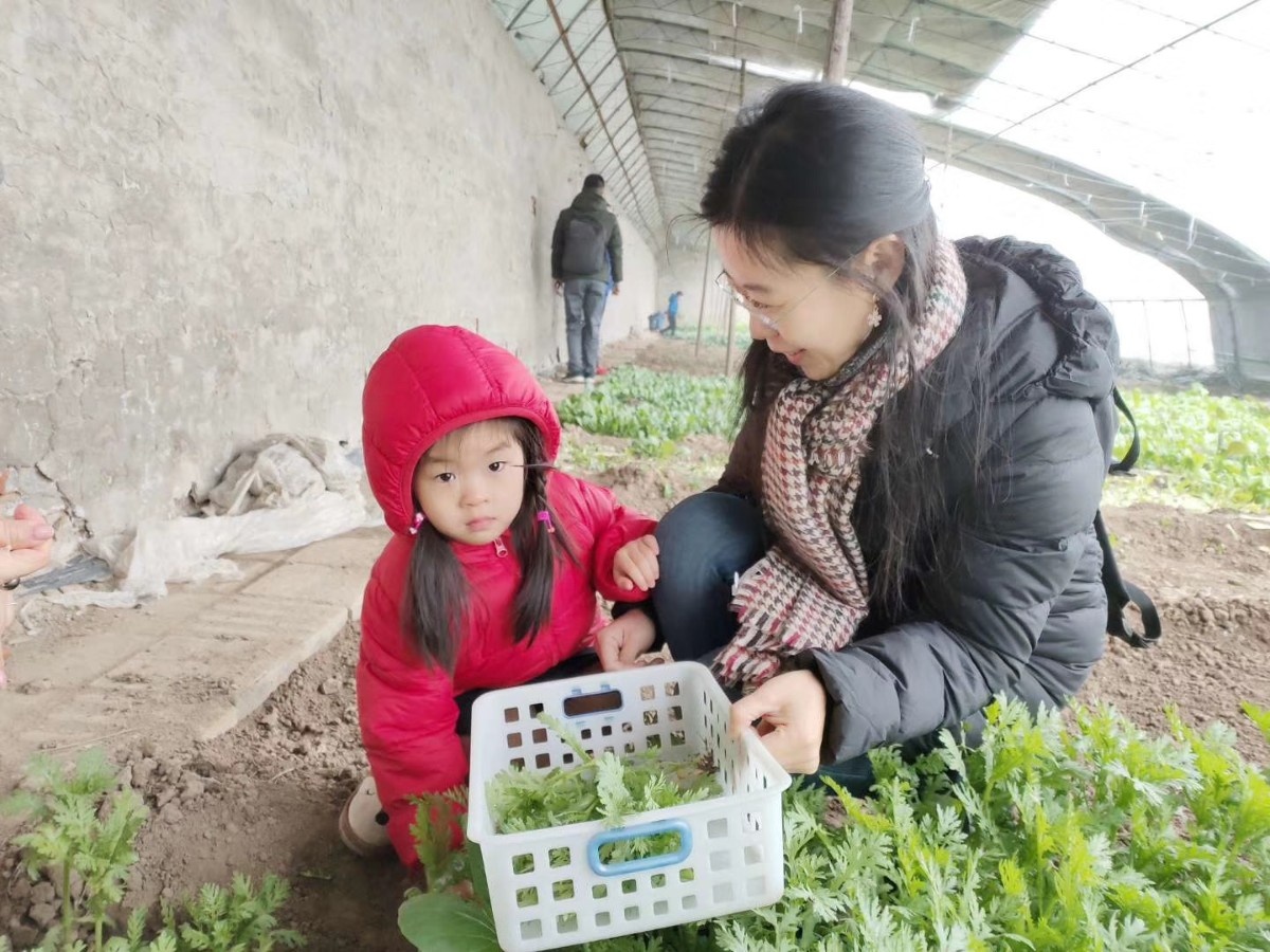 微信图片_20200414215802.jpg 微信图片_20200414215802.jpg