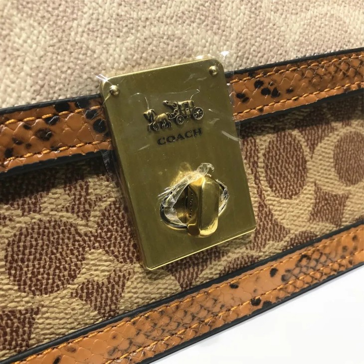 万人种草的2020蔻c最新款哈顿蛇皮小方包,可做斜跨可做腰包!