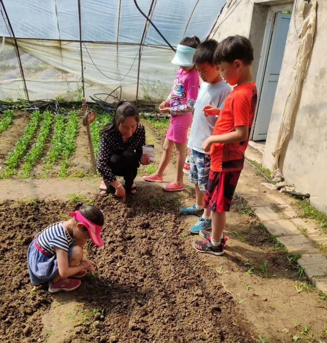 微信图片_20200415020850.jpg 微信图片_20200415020850.jpg