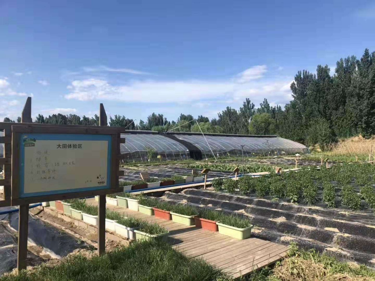 微信图片_20200415140754.jpg 微信图片_20200415140754.jpg