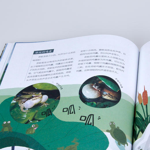 《诗词中有科学》共6册 文学与科学结合， 小牛顿团队编制 商品图8