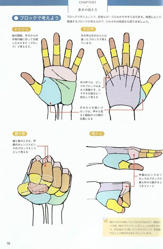【中商原版】加加美高浩全力教你手的画法 日文原版 加々美高浩が全力で教える「手」の描き方 圧倒的に心を揺さぶる作画流儀 商品图4
