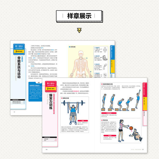 体能训练基础理论全彩图解版 商品图3