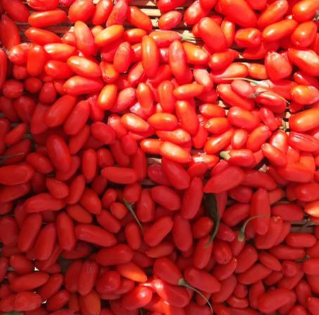 杞冠臻选 | 宁夏无公害头茬枸杞 独立牛皮纸袋 250g(200粒)*2 中宁枸杞 商品图2