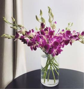 配花-洋兰-紫色-10支/扎