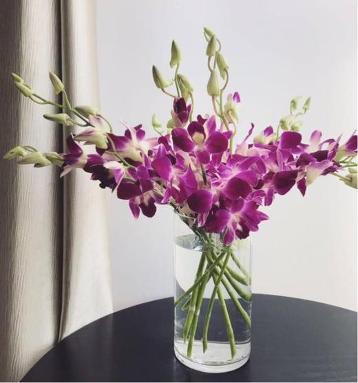 配花-洋兰-紫色-10支/扎 商品图0