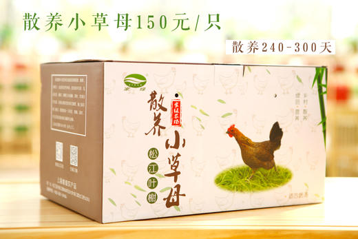 家绿散养家禽系列   正宗 现抓 现杀 鲜发 提前一天预定 商品图2