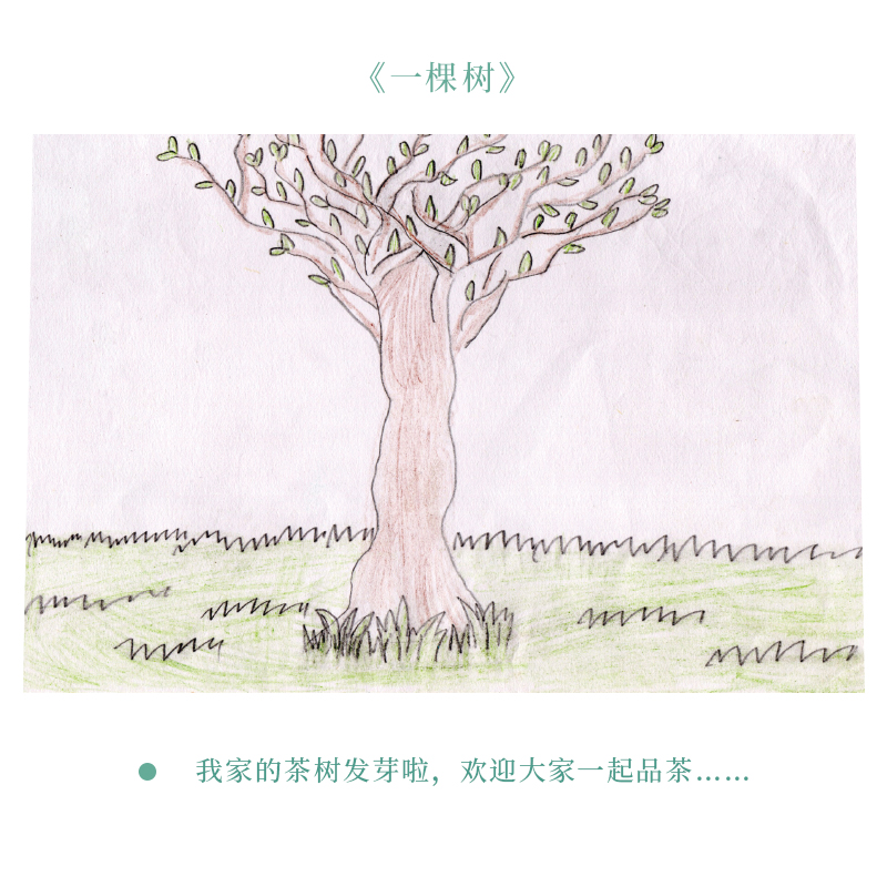 茶山童画【4月·一棵树】100克公益款，每人限购5片