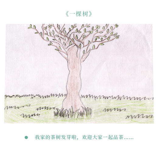 茶山童画【4月·一棵树】100克公益款，每人限购5片 商品图0