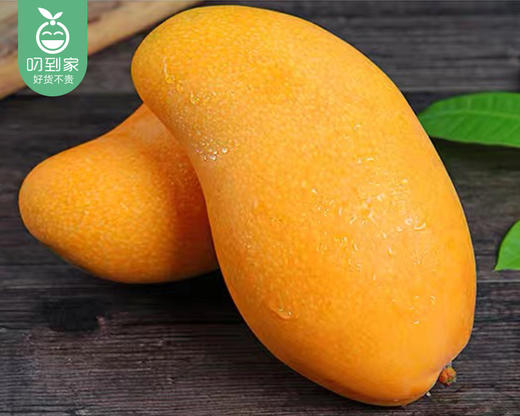 海南水仙芒/1份（约1100g±50g，2-3个） 商品图4