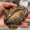 〔象山码头直发包邮17〕码头海鲜野生梭子蟹/鲳鱼/带鱼/深海黄鱼/野生花蛤/海钓鲷鱼/红膏青蟹/芒种虾皮/带膏小管/泥蛏子/斑节虾/翡翠鲍鱼/章鱼/琵琶虾/皮皮虾/小船红虾/墨鱼干 商品缩略图12