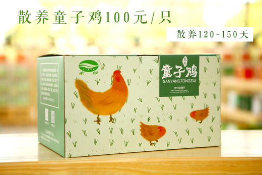 家绿散养家禽系列   正宗 现抓 现杀 鲜发 提前一天预定 商品图1