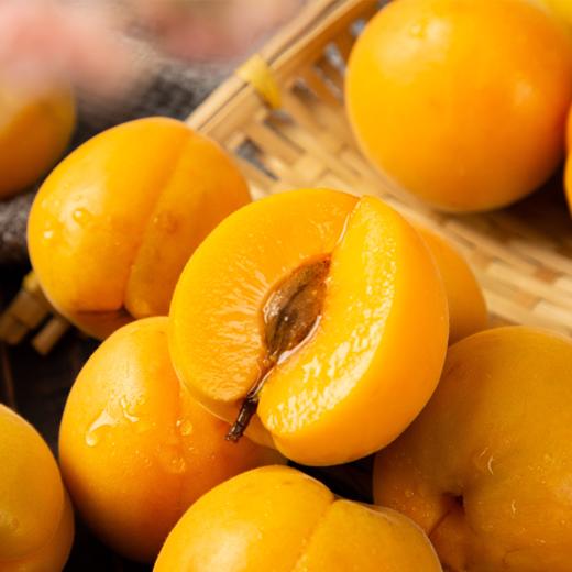 陕西新鲜黄杏 个大饱满 酸爽多汁 当季水果 2斤/4斤现摘现发 商品图3