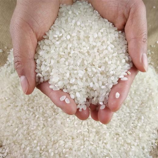 鹤鸣谷有机大米 1kg*5袋 商品图2