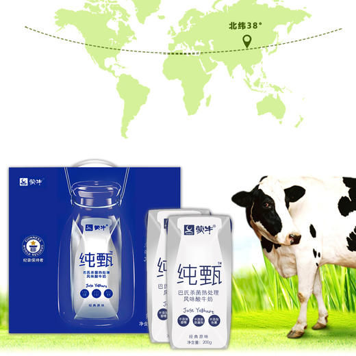 蒙牛纯甄酸奶200g10盒提