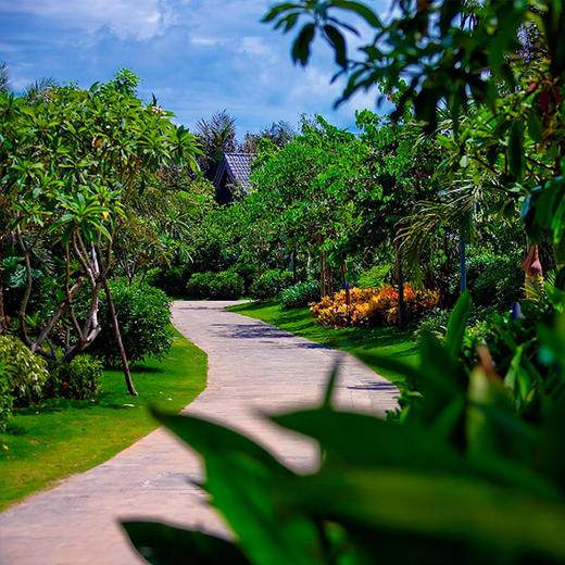 海南香水湾君澜度假酒店1晚（自助早餐+轻奢漂浮下午茶+海南特色椰子鸡火锅一套+澜精灵俱乐部+迷你吧畅享服务） 商品图4