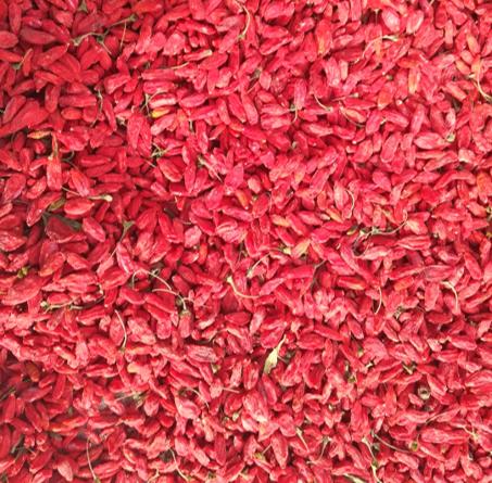 杞冠臻选 | 宁夏无公害头茬枸杞 独立牛皮纸袋 250g(200粒)*2 中宁枸杞 商品图5