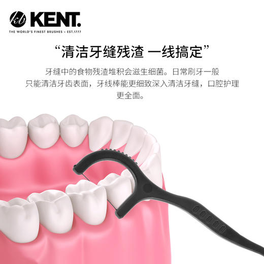 KENT肯特牙线棒超细清洁剔牙线随身盒 送收纳盒 商品图3