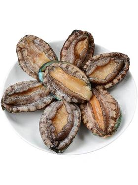 十头鲍鱼，10.5元1只//