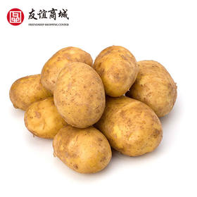 B1F 农家土豆 500g