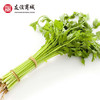 B1F 农家芹菜  500g 商品缩略图0