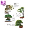 预售 【中商原版】图解盆栽技法 港台原版 时崎厚 晨星 花草园艺 商品缩略图2