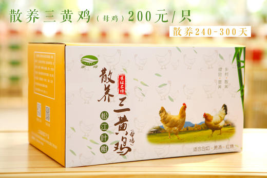 家绿散养家禽系列   正宗 现抓 现杀 鲜发 提前一天预定 商品图4