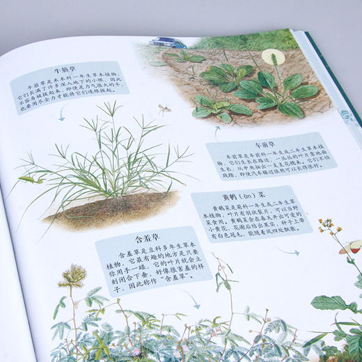 《诗词中有科学》共6册 文学与科学结合， 小牛顿团队编制 商品图6