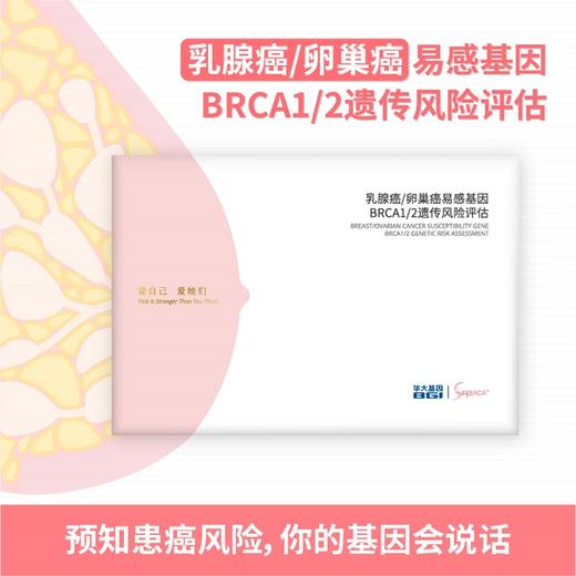 华大基因（BGI） BRCA乳腺癌基因检测 商品图0