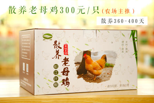 家绿散养家禽系列   正宗 现抓 现杀 鲜发 提前一天预定 商品图0