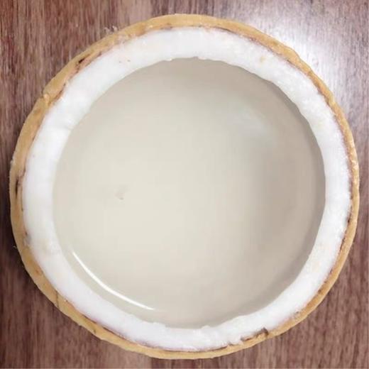 海南小椰白4个装