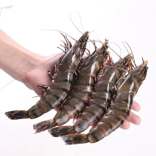 【野生大黑虎虾】纯野生黑虎虾速冻锁鲜，肉质Q弹，营养美味，妈鲜乐广东潮汕海鲜基地发货 商品图0
