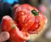 桐鲜生红翻天西红柿第六季，感恩回归，沙瓤爆汁，酸甜可口，生吃自然熟 商品缩略图0