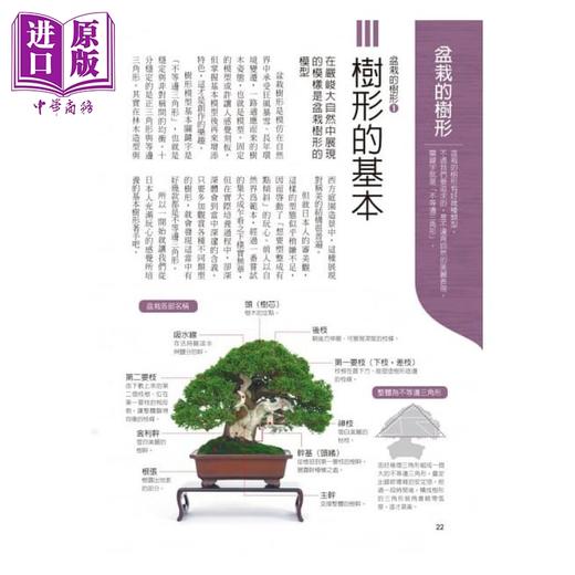 预售 【中商原版】图解盆栽技法 港台原版 时崎厚 晨星 花草园艺 商品图1