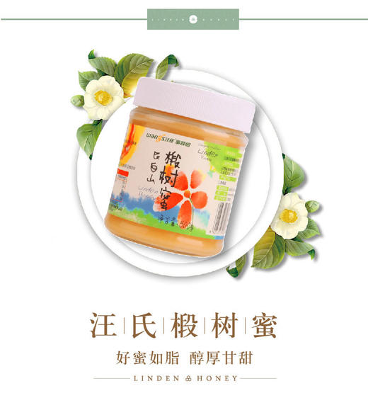 【汪氏】长白山正宗椴树蜜 500g 商品图1