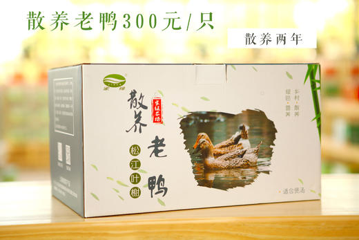 家绿散养家禽系列   正宗 现抓 现杀 鲜发 提前一天预定 商品图5