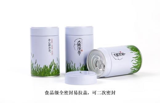 2026年高山珍稀白茶 108克 大傅净茶 零残留 商品图6