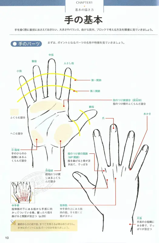 中商原版 加加美高浩全力教你手的画法日文原版加々美高浩が全力で教える 手 の描き方圧倒的に心を揺さぶる作画流儀