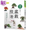 预售 【中商原版】图解盆栽技法 港台原版 时崎厚 晨星 花草园艺 商品缩略图0