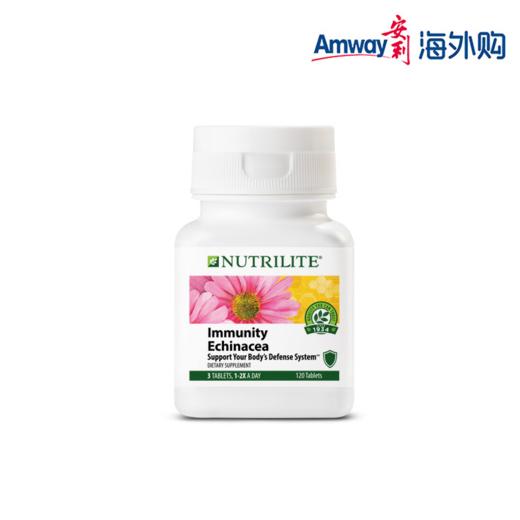 纽崔莱松果菊健体片 商品图0