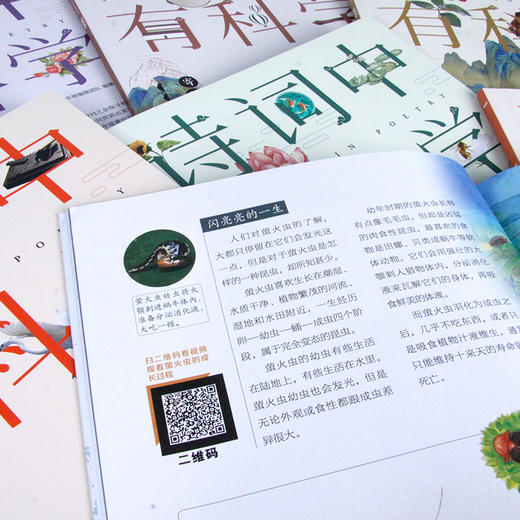 《诗词中有科学》共6册 文学与科学结合， 小牛顿团队编制 商品图5