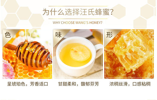 【汪氏】465g枣花蜜 商品图3