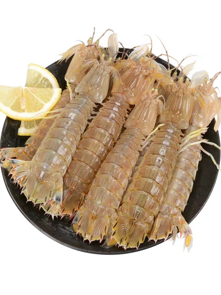 鲜活皮皮虾1斤装//